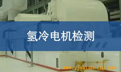 氢冷电机检测